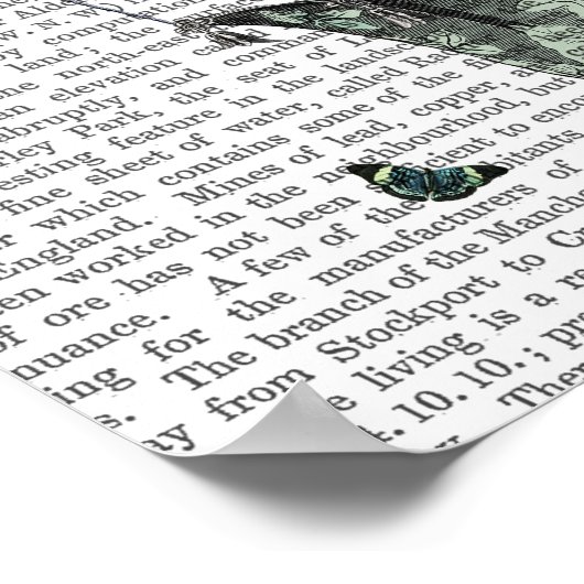 Butterfly House Poster (Ecke)