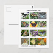Butterfly identification  postkarte (Vorne/Hinten)