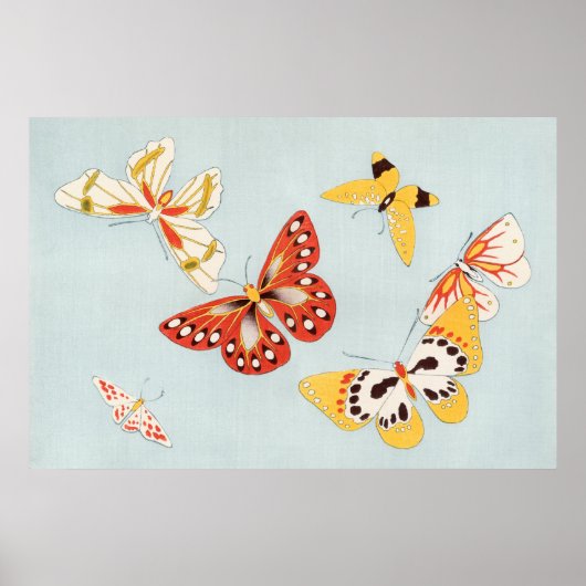 Butterfly Illustration Poster (Vorne)