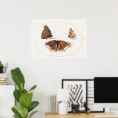 Butterfly Illustration Poster (Heimbüro)