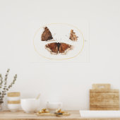 Butterfly Illustration Poster (Küche)
