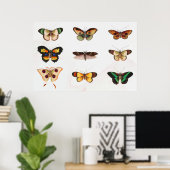 Butterfly-Illustration Poster (Heimbüro)