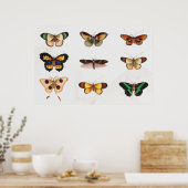 Butterfly-Illustration Poster (Küche)