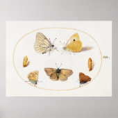 Butterfly Illustration Poster (Vorne)
