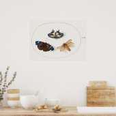 Butterfly Illustration Poster (Küche)