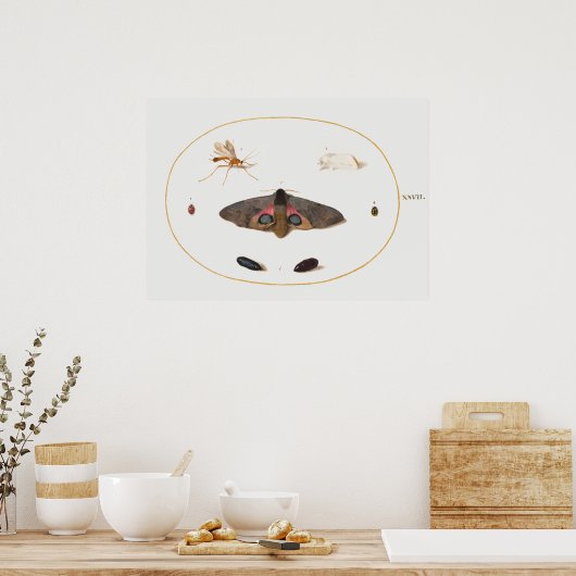 Butterfly Illustration Poster (Küche)