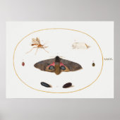 Butterfly Illustration Poster (Vorne)