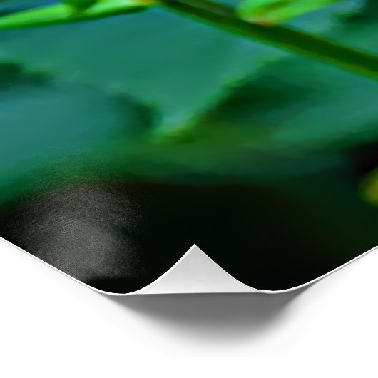 Butterfly in Bloom Poster (Ecke)