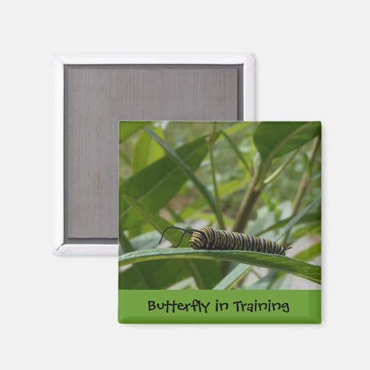'Butterfly in Training' Square Magnet (Vorderseite/Rückseite)