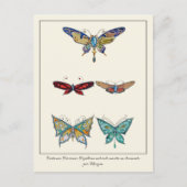 Butterfly Jewelen Zierbrocken Postkarte (Vorderseite)