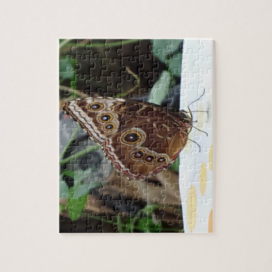 Butterfly Jigsaw Puzzle (Vertikal)