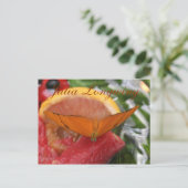 Butterfly Julia Longwing # 2 Postkarte (Stehend Vorderseite)