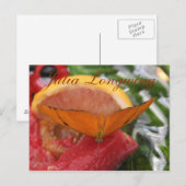 Butterfly Julia Longwing # 2 Postkarte (Vorne/Hinten)