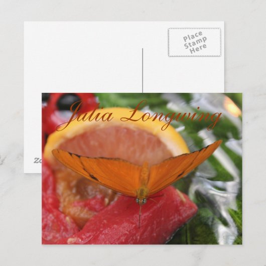 Butterfly Julia Longwing # 2 Postkarte (Vorne/Hinten)