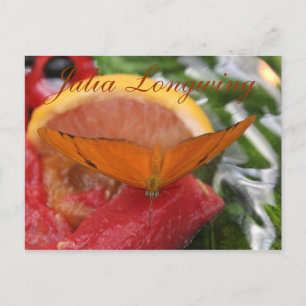 Butterfly Julia Longwing # 2 Postkarte
