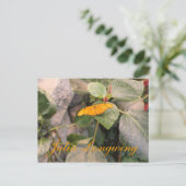 Butterfly Julia Longwing # 4 Postkarte (Stehend Vorderseite)