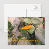 Butterfly Julia Longwing # 4 Postkarte (Vorne/Hinten)