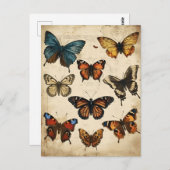 Butterfly Kaleidoskop: Vintage Postkarte (Vorne/Hinten)