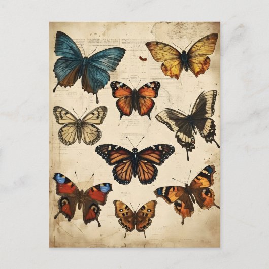 Butterfly Kaleidoskop: Vintage Postkarte (Vorderseite)
