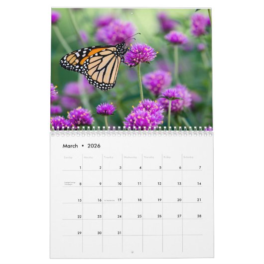 Butterfly-Kalender von Jody Wiele Fotografie Kalender (Mär 2026)