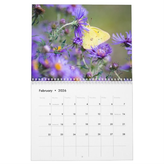 Butterfly-Kalender von Jody Wiele Fotografie Kalender (Feb 2026)