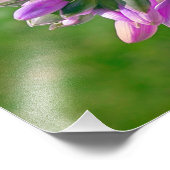 Butterfly Kisses Fotodruck (Ecke)