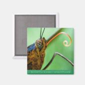 Butterfly Kisses Magnet (Vorderseite/Rückseite)
