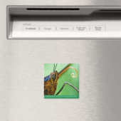 Butterfly Kisses Magnet (In Situ (Geschirrspüler))