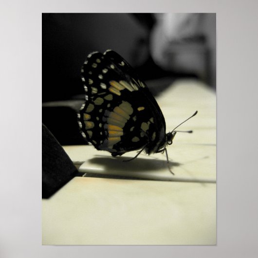 Butterfly Kisses Poster (Vorne)