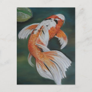 Butterfly Koi Fisch Postkarte