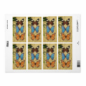 Butterfly-Kollektion (Vorne)