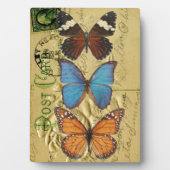 Butterfly-Kollektion Fotoplatte (Vorderseite)