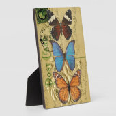 Butterfly-Kollektion Fotoplatte (Seite)