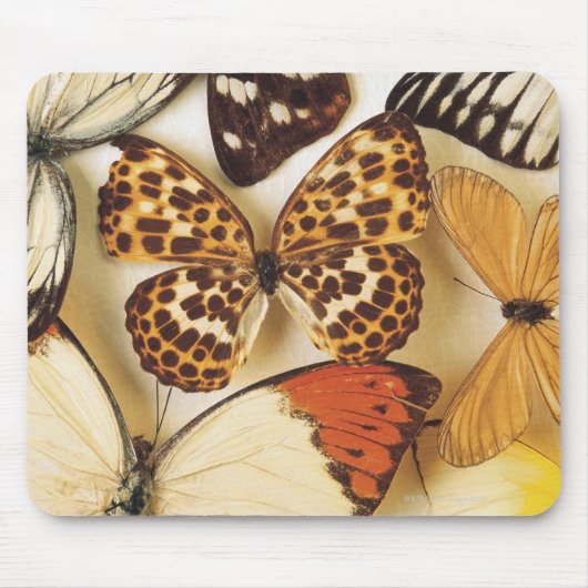 Butterfly-Kollektion Mousepad (Vorne)