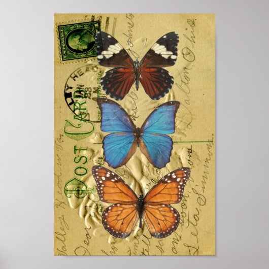Butterfly-Kollektion Poster (Vorne)