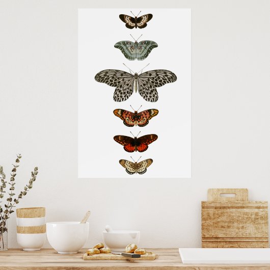 Butterfly-Kompilation Poster (Küche)