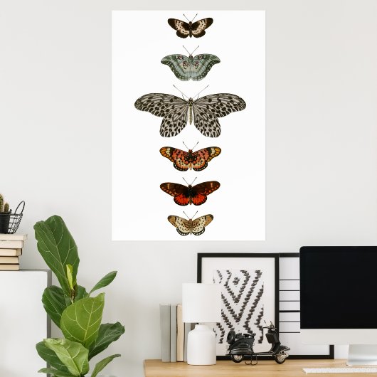 Butterfly-Kompilation Poster (Heimbüro)