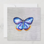 Butterfly-Leinwand-Einladung Einladung (Rückseite)