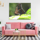 butterfly leinwanddruck (Insitu (Wohnzimmer))