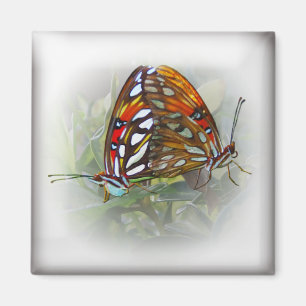Butterfly Liebe Magnet