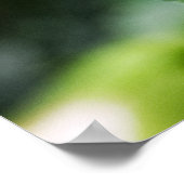 Butterfly Lolipop Print Poster (Ecke)