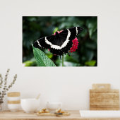 Butterfly Lolipop Print Poster (Küche)