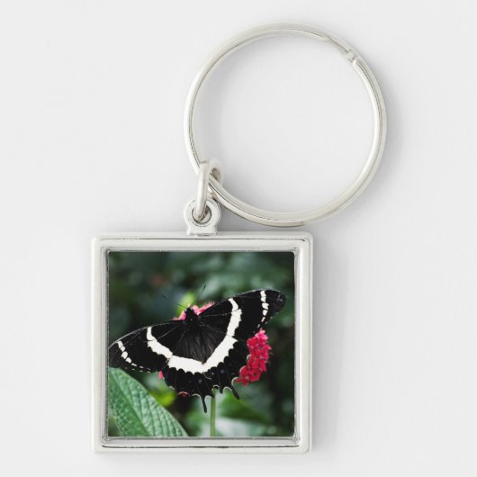 Butterfly Lolipop Schlüsselanhänger (Vorne)