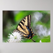 Butterfly Magic Wall Art Poster (Vorne)