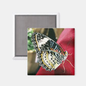 Butterfly Magnet (Vorderseite/Rückseite)