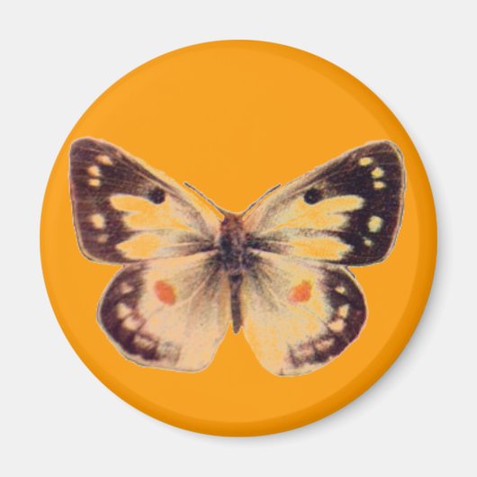 Butterfly Magnet (Vorne)
