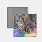 Butterfly Magnet (Vorderseite/Rückseite)