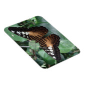 Butterfly Magnet (Rechte Seite)