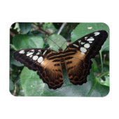 Butterfly Magnet (Horizontal)