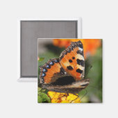 Butterfly Magnet (Vorderseite/Rückseite)